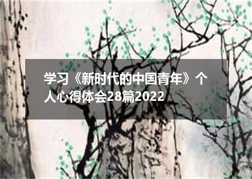学习《新时代的中国青年》个人心得体会28篇2022