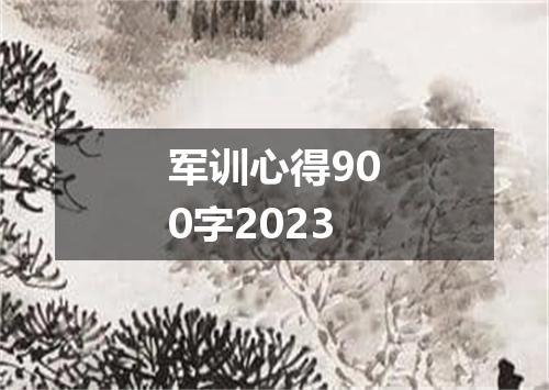 军训心得900字2023