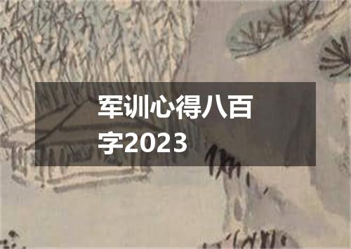 军训心得八百字2023