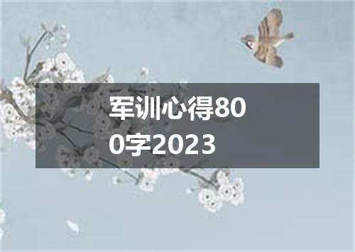 军训心得800字2023