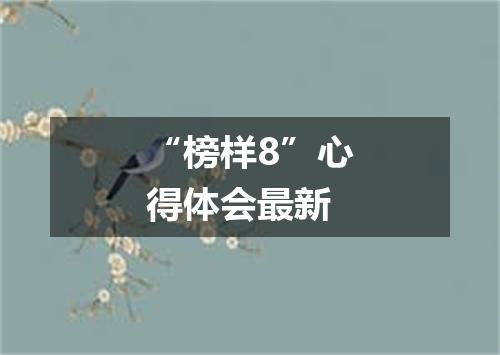 “榜样8”心得体会最新