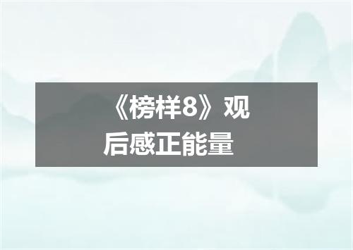 《榜样8》观后感正能量