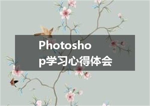 Photoshop学习心得体会
