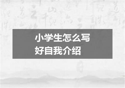 小学生怎么写好自我介绍