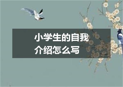 小学生的自我介绍怎么写