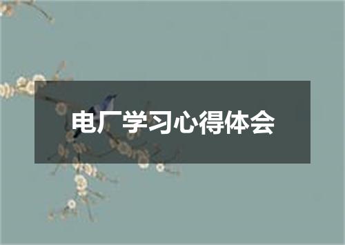 电厂学习心得体会