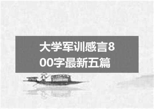大学军训感言800字最新五篇
