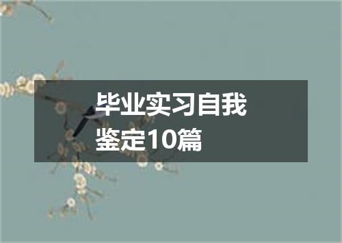 毕业实习自我鉴定10篇