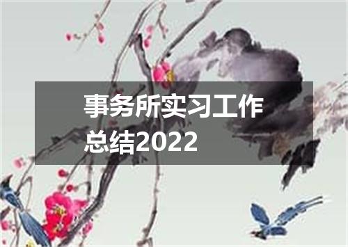 事务所实习工作总结2022