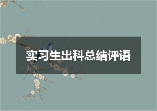 实习生出科总结评语