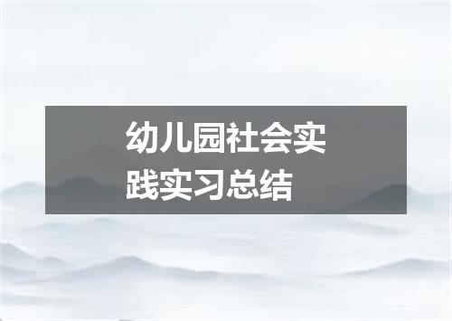 幼儿园社会实践实习总结