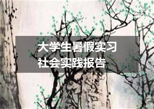 大学生暑假实习社会实践报告