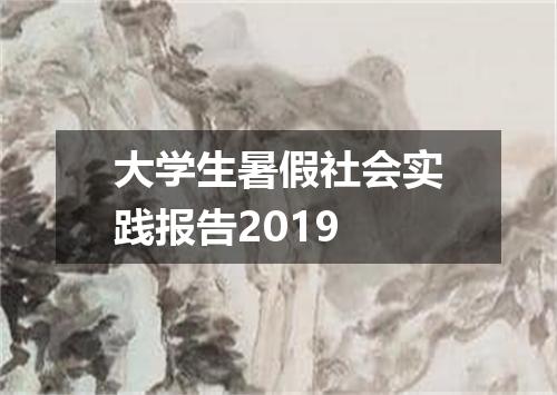大学生暑假社会实践报告2019