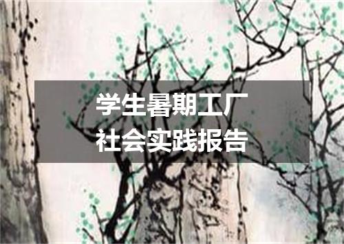 学生暑期工厂社会实践报告