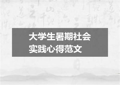大学生暑期社会实践心得范文