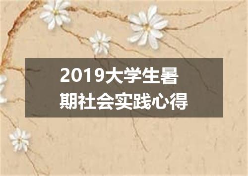 2019大学生暑期社会实践心得