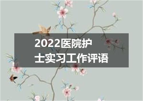 2022医院护士实习工作评语