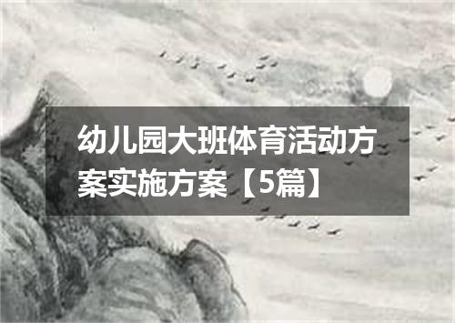 幼儿园大班体育活动方案实施方案【5篇】