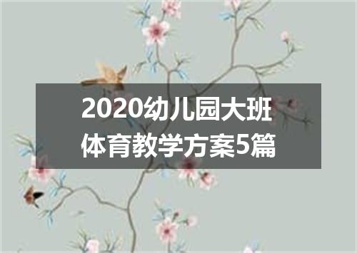 2020幼儿园大班体育教学方案5篇