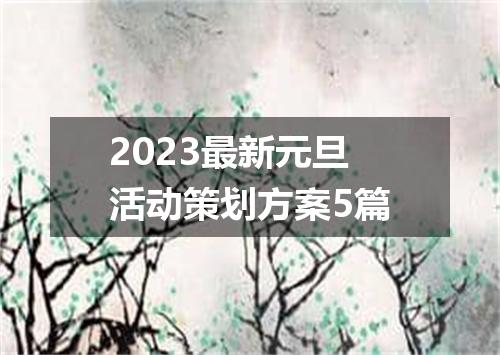 2023最新元旦活动策划方案5篇