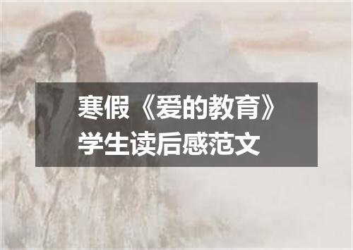 寒假《爱的教育》学生读后感范文