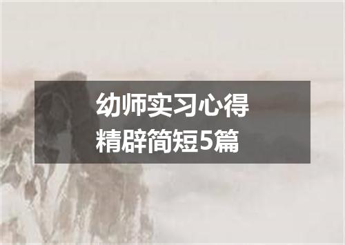 幼师实习心得精辟简短5篇