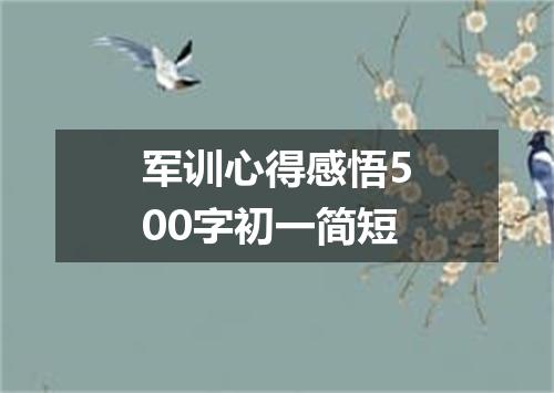 军训心得感悟500字初一简短