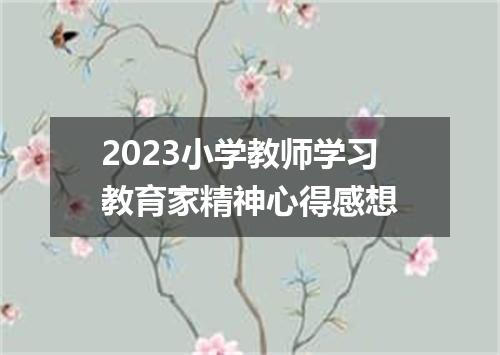 2023小学教师学习教育家精神心得感想