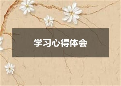学习心得体会