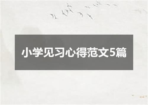 小学见习心得范文5篇
