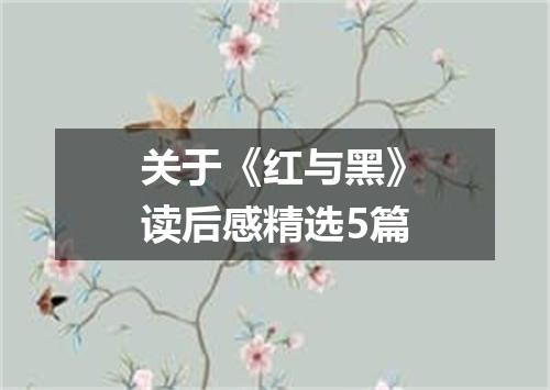 关于《红与黑》读后感精选5篇