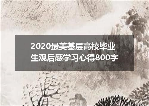 2020最美基层高校毕业生观后感学习心得800字