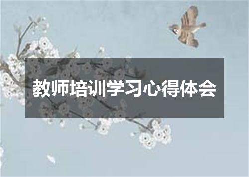 教师培训学习心得体会