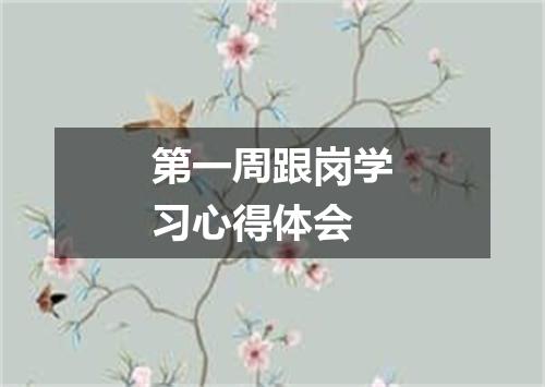 第一周跟岗学习心得体会