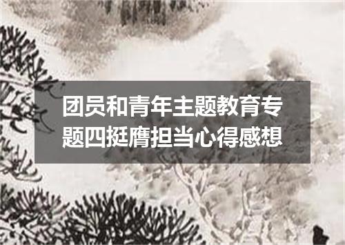 团员和青年主题教育专题四挺膺担当心得感想
