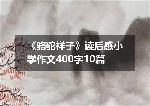 《骆驼祥子》读后感小学作文400字10篇