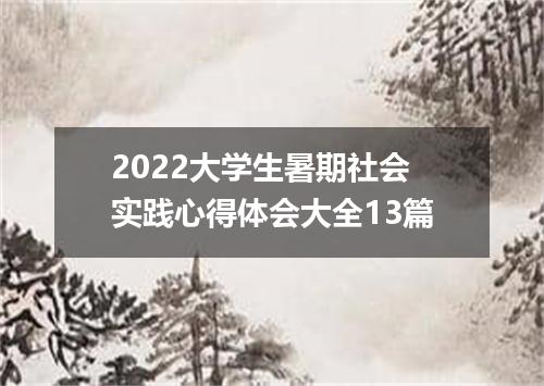 2022大学生暑期社会实践心得体会大全13篇