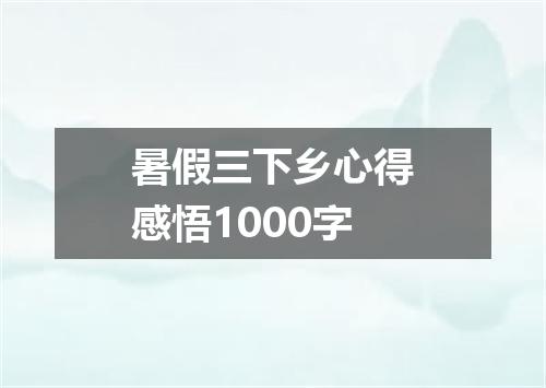 暑假三下乡心得感悟1000字