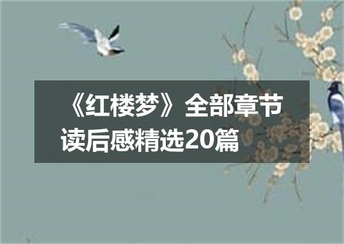 《红楼梦》全部章节读后感精选20篇