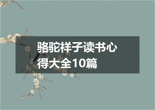 骆驼祥子读书心得大全10篇