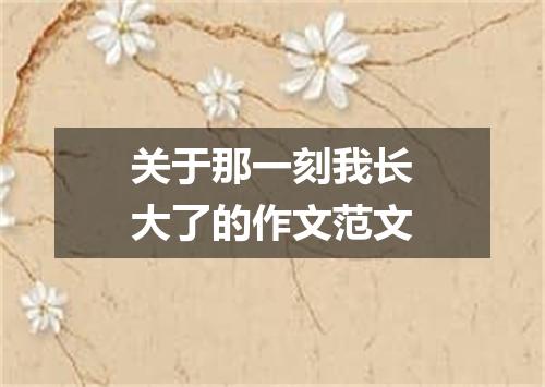 关于那一刻我长大了的作文范文