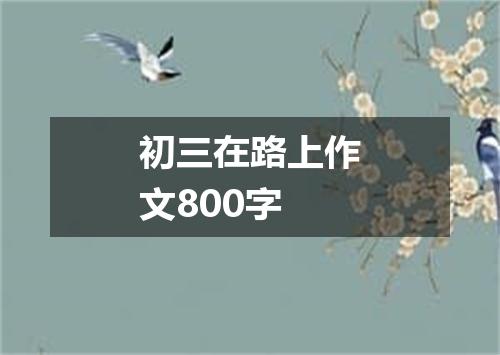 初三在路上作文800字