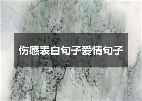 伤感表白句子爱情句子