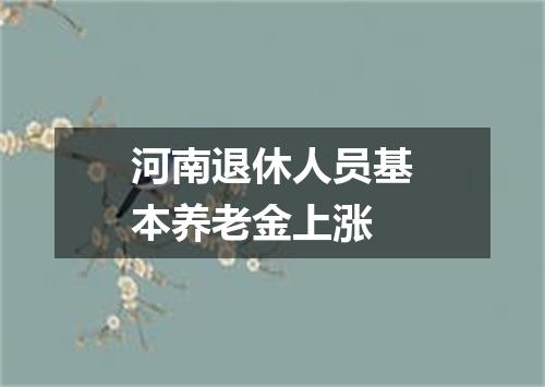 河南退休人员基本养老金上涨