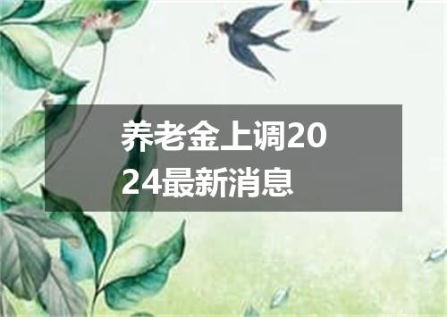 养老金上调2024最新消息