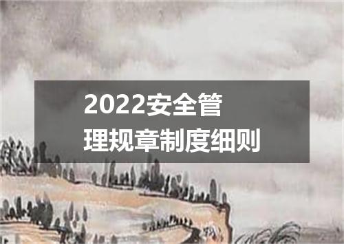 2022安全管理规章制度细则