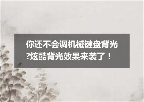 你还不会调机械键盘背光?炫酷背光效果来袭了！