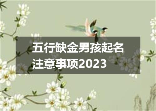 五行缺金男孩起名注意事项2023