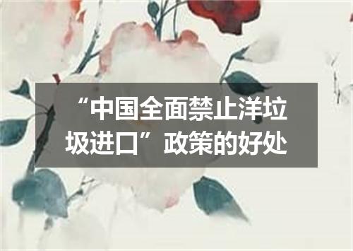 “中国全面禁止洋垃圾进口”政策的好处