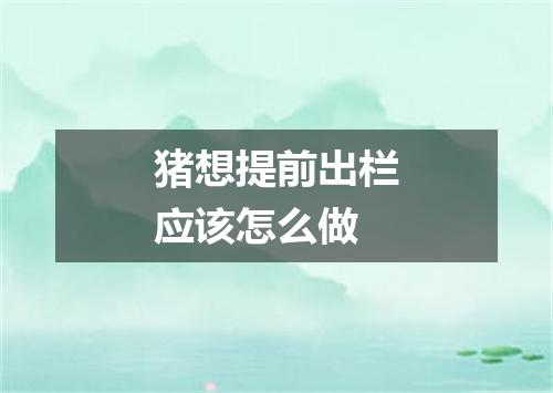 猪想提前出栏应该怎么做